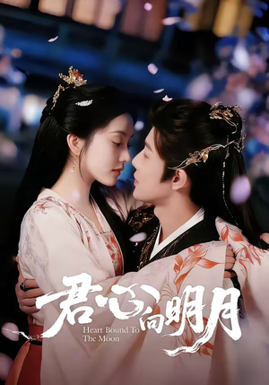 君心向明月（60集）短剧结局合集限免刷