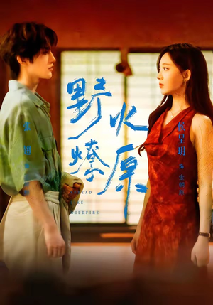 野火燎原（72集）短剧全集VR沉浸版