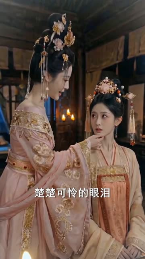 藏仇入宫从女官步步崛起(25集) 藏仇入宫从女官步步崛起(25集)短剧最终章免费合集