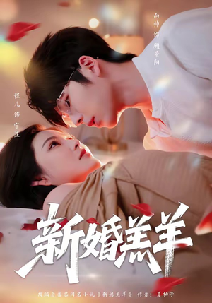 新婚羔羊（89集）短剧终篇全集限免看