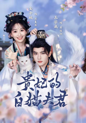 贵妃的白猫夫君（81集）短剧大结局超前点映