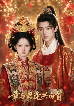 幸与君逢共白首（79集）短剧合集通宵追更版