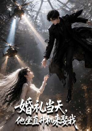 婚礼当天,他坐直升机来娶我(65集) 婚礼当天,他坐直升机来娶我(65集)短剧合集通宵追更版