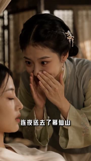 小公爷，夫人带着前世记忆重生救府（80集）短剧全集高清无码版