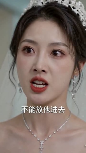 一场亲,一场闹,一场荒唐(70集) 一场亲,一场闹,一场荒唐(70集)短剧大结局连更全集