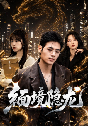 缅境隐龙（65集）短剧完结篇全集连播