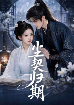 尘契归期（63集）短剧合集通宵追更版