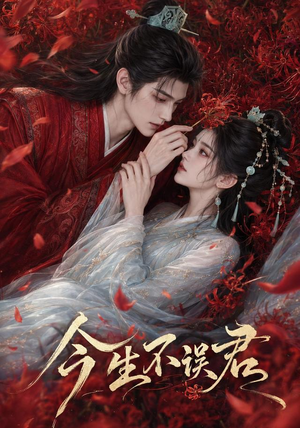 今生不误君(106集) 今生不误君(106集)短剧大结局全集解锁