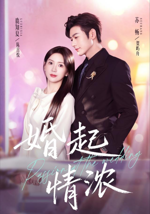 婚起情浓(99集) 婚起情浓(99集)短剧合集杜比音效版