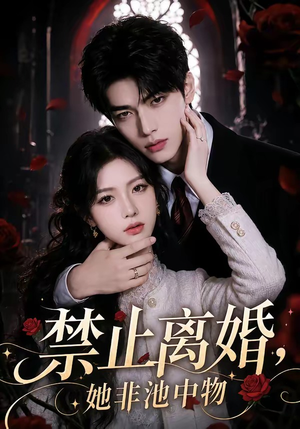 禁止离婚，她非池中物（144集）短剧终极大放送合集