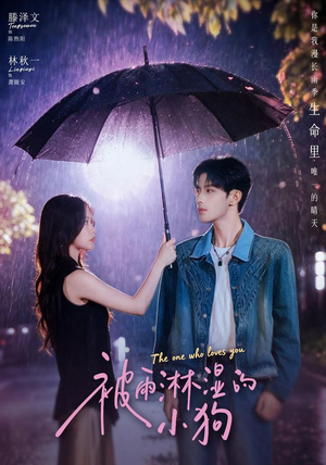 被雨淋湿的小狗(80集) 被雨淋湿的小狗(80集)短剧全集秒播无卡顿